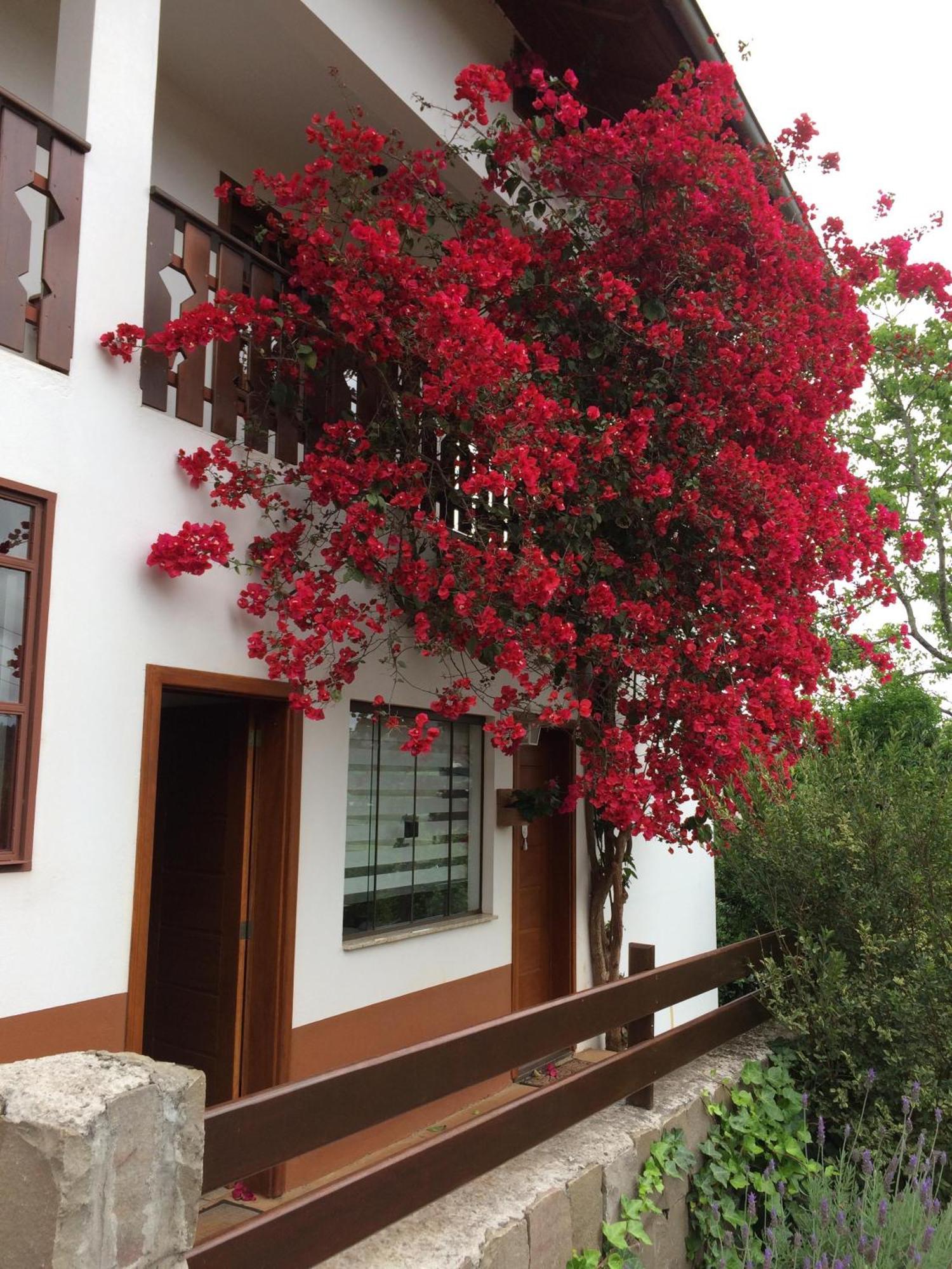 Karin's Haus Treze Tilias